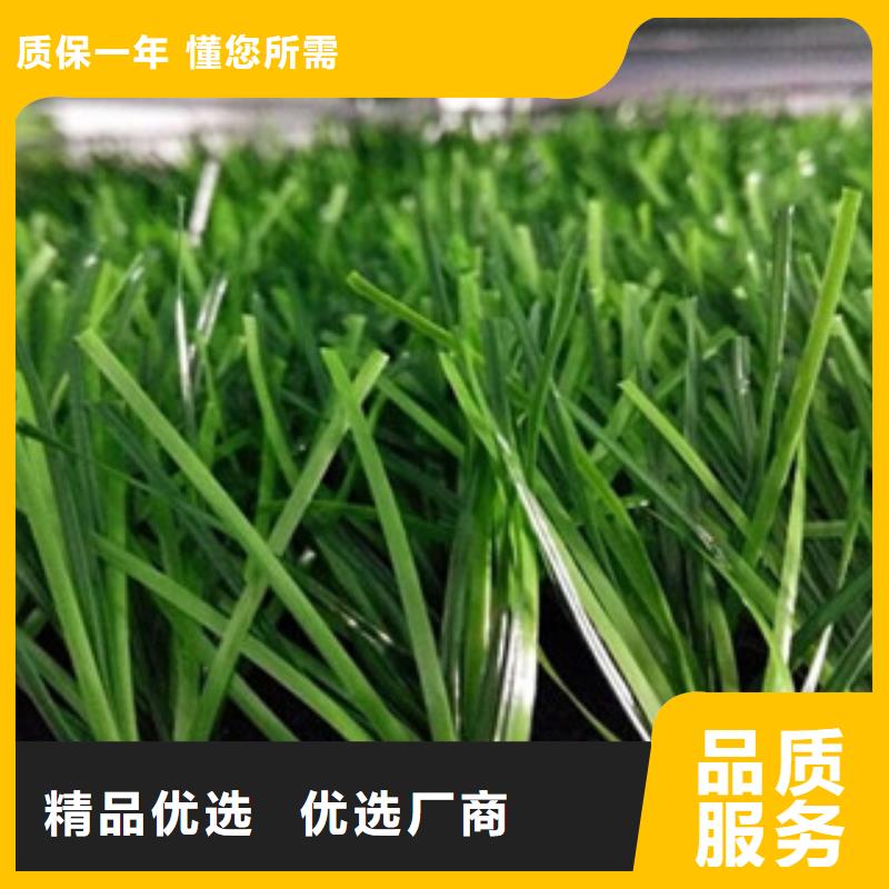 人造草坪敢与同行比服务