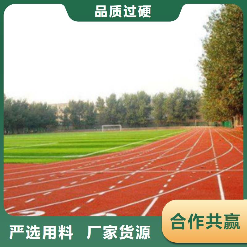 塑胶跑道室外健身器材颜色尺寸款式定制