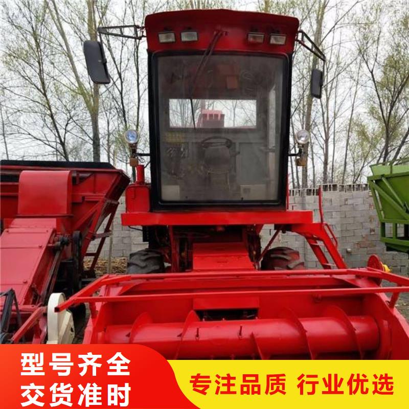 青储机卡斯罗犬质优价廉