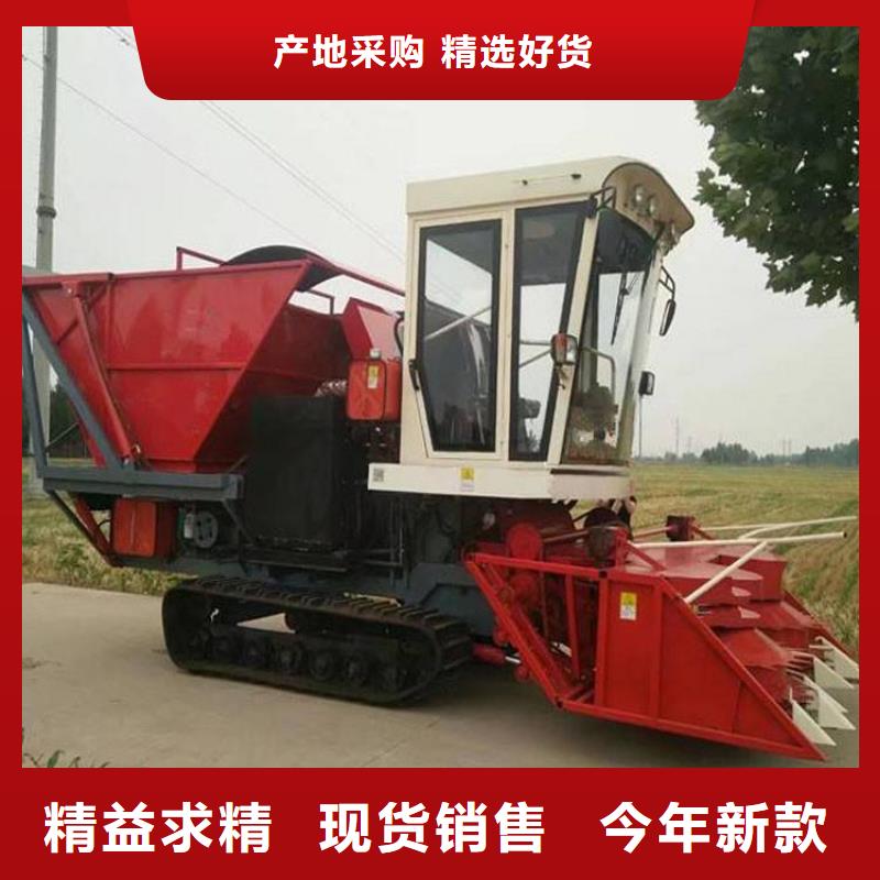 青储机卡斯罗犬质优价廉
