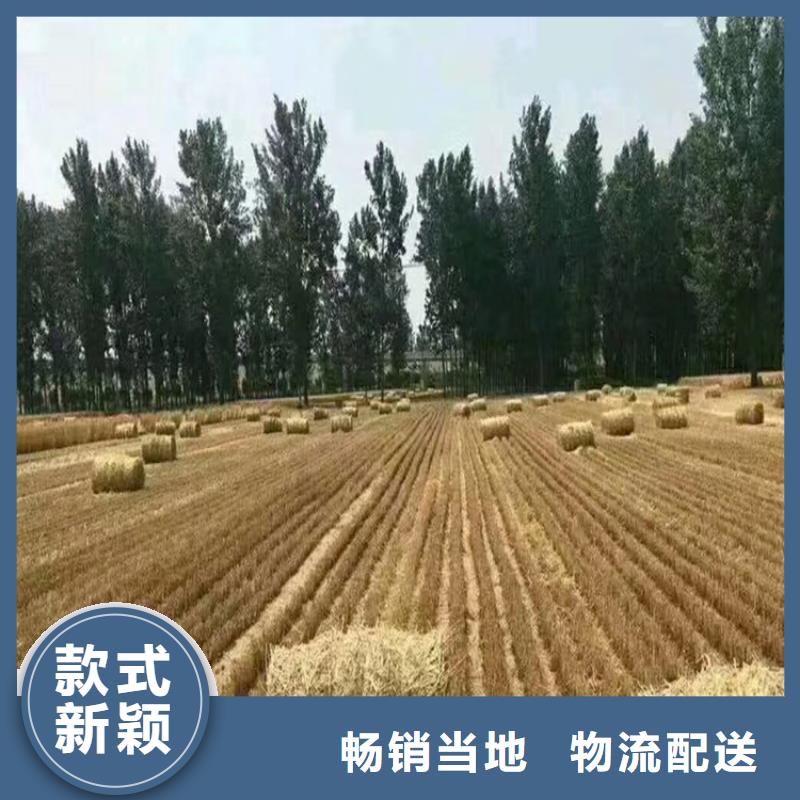 打捆机高加索犬现货销售