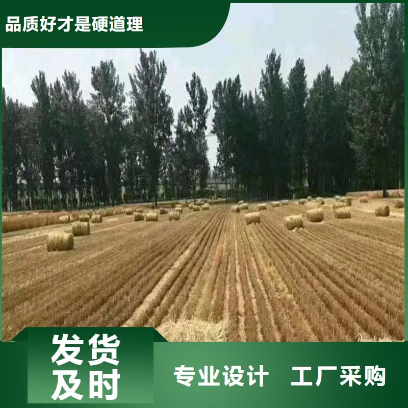 打捆机罗威纳犬源头直供
