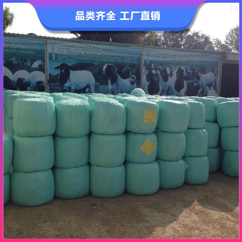 打捆包膜机卡斯罗犬实地大厂