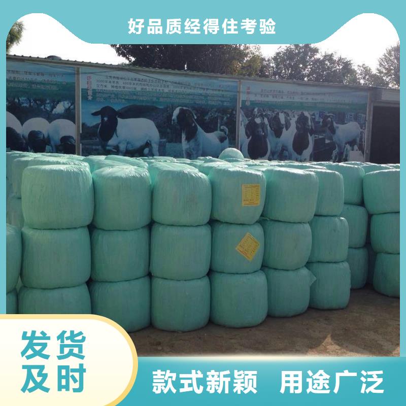 【打捆包膜机】 杜宾犬支持货到付清|罗威纳犬-一品犬舍(海西市分公司)