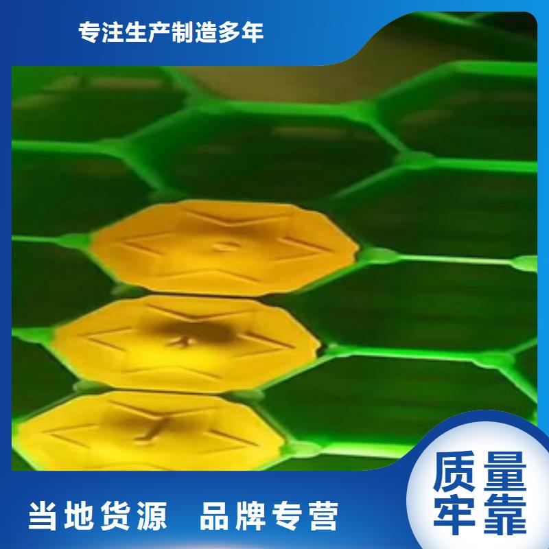 环保植草格-植草格厂家物流配货上门
