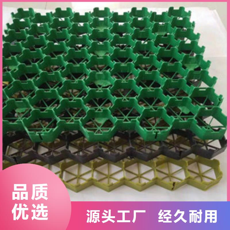 环保植草格-植草格厂家物流配货上门