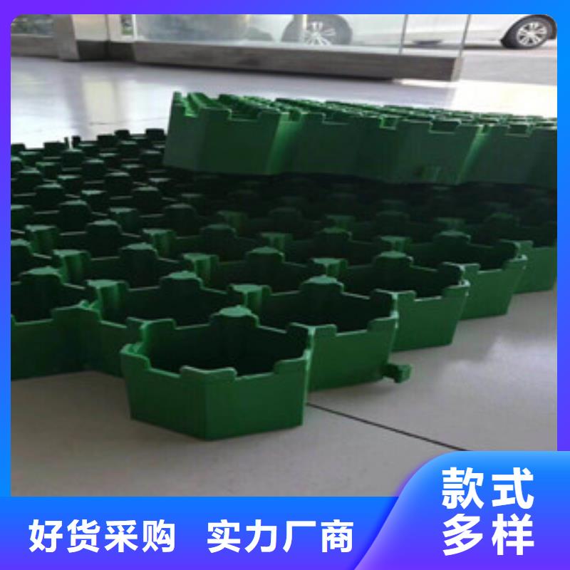 环保植草格【土工膜厂家】多年实力厂家-富泰土工材料(潍坊市分公司)