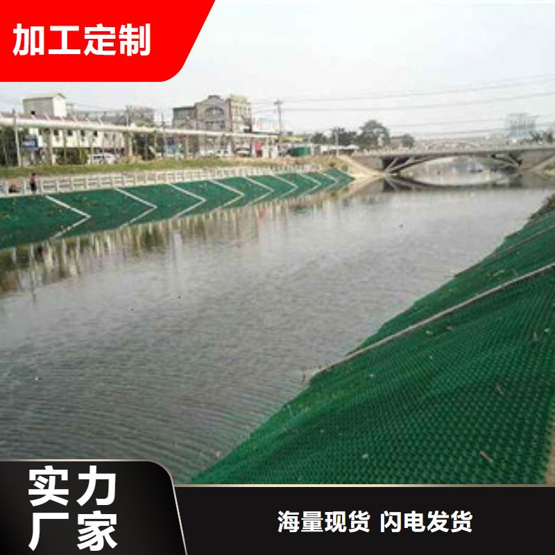 【植草格】_土工布厂家生产加工-富泰土工材料(兰州市分公司)-跑码头厂家网