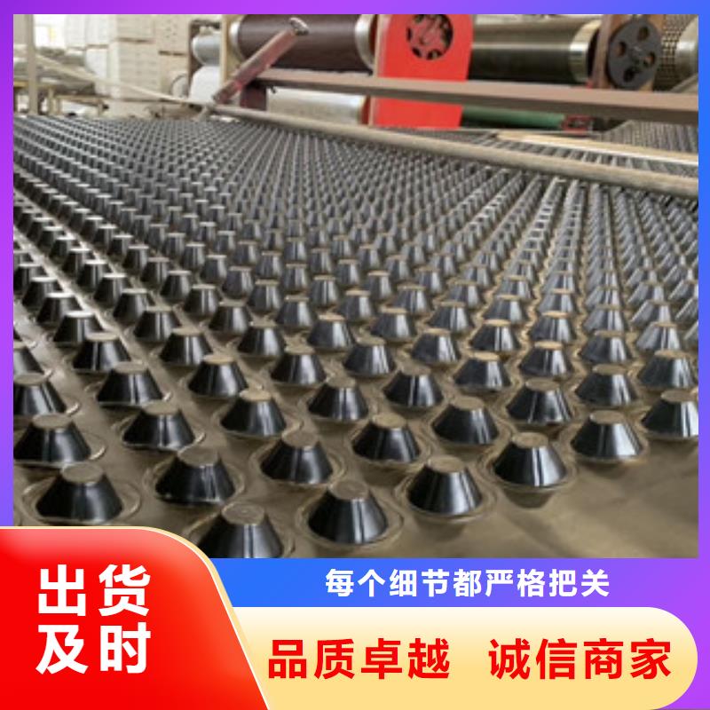 【 排水板土工布厂家厂家十分靠谱】