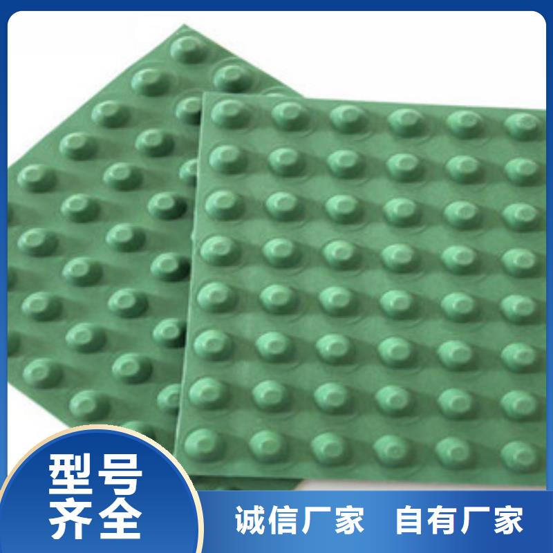【 排水板土工布厂家厂家十分靠谱】