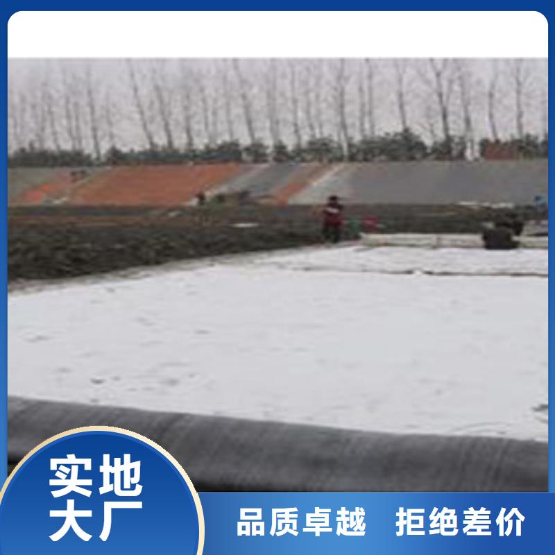 【防水毯】 植草格厂家物美价优-服务范围包括普兰|革吉|林芝|山南|那曲|拉萨等