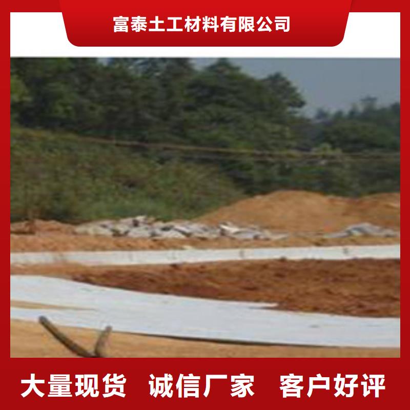 防水毯_无纺布厂家专业完善售后