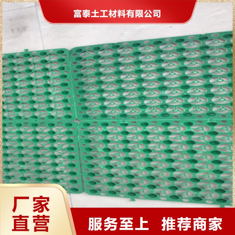 蓄排水板虹吸排水板厂家专注细节更放心