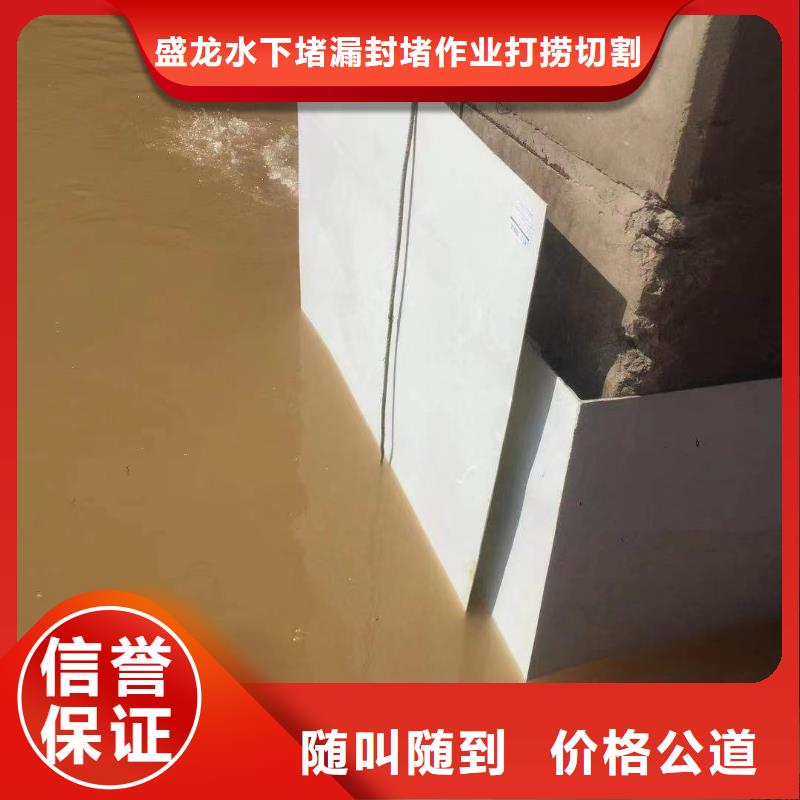 遂宁定制蛙人作业公司_厂家/供应