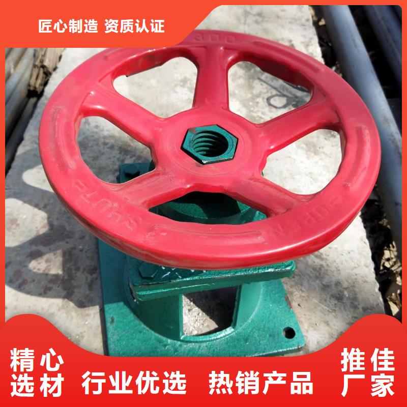 桂林斜拉式启闭机公司-价格