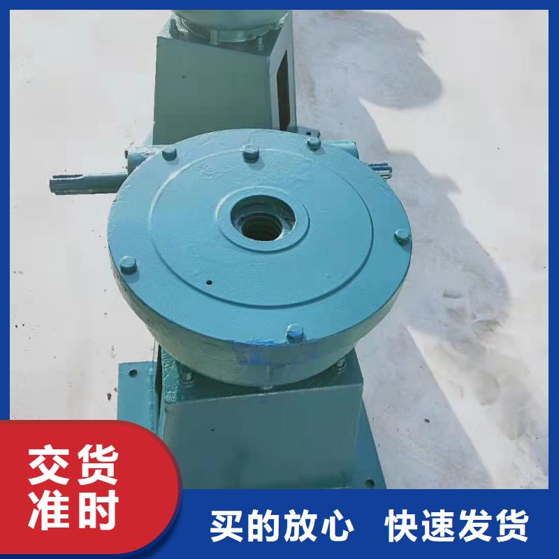 桂林斜拉式启闭机公司-价格