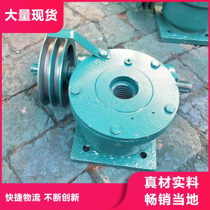 桂林斜拉式启闭机公司-价格