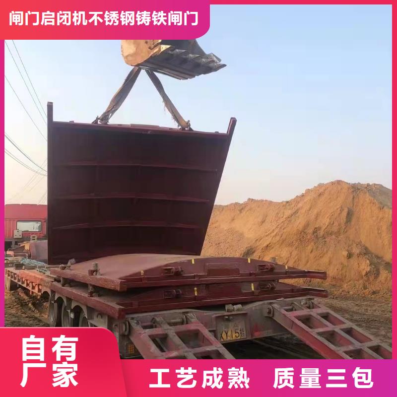 漠河铸铁闸门个性化定制