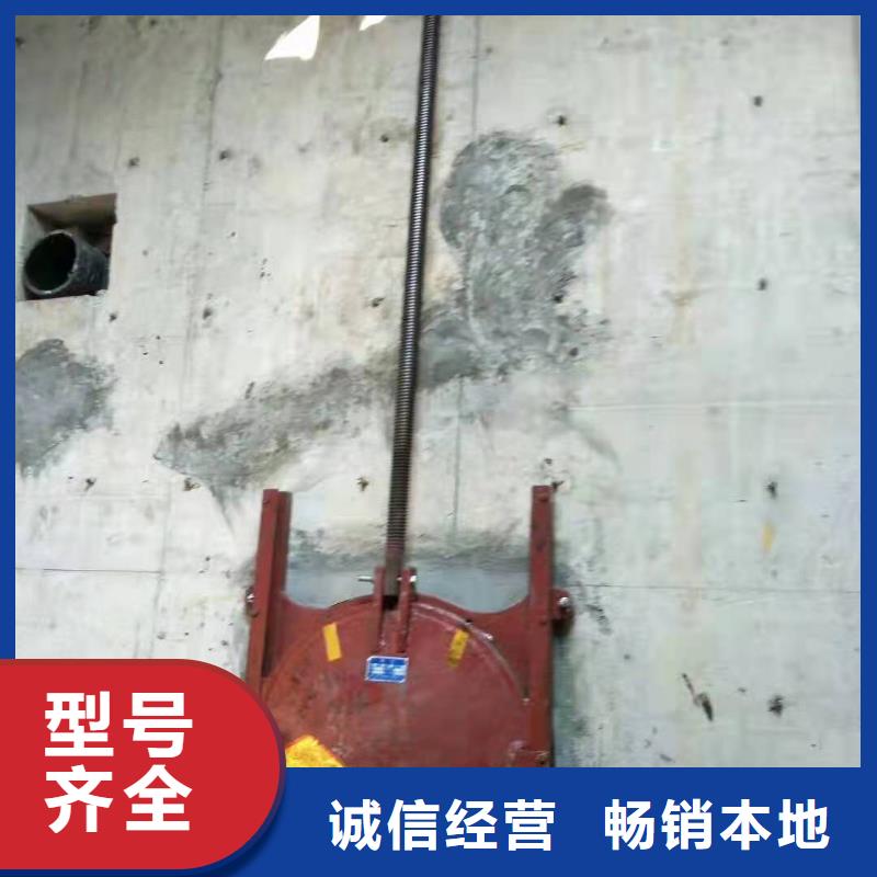 双向止水闸门销售公司地址