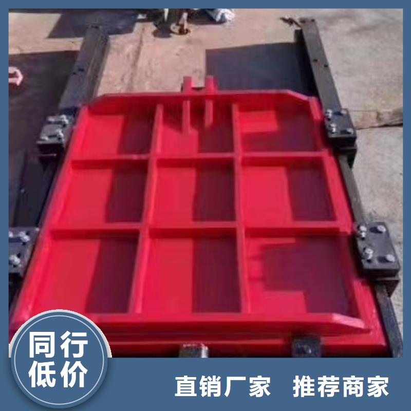 宿豫库存充足的河道铸铁闸门公司