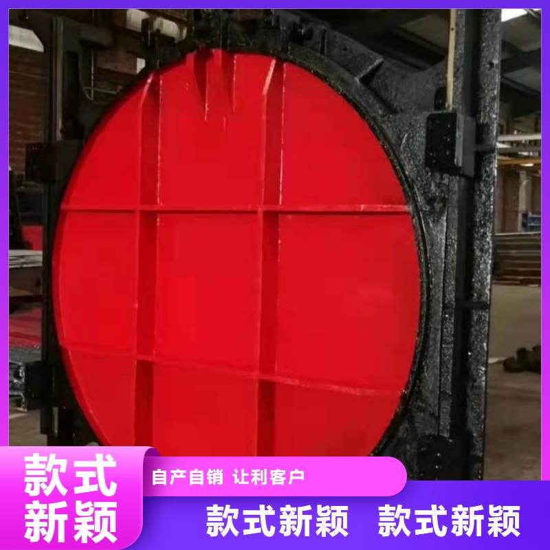 罗江服务周到的铸铁闸门生产厂家