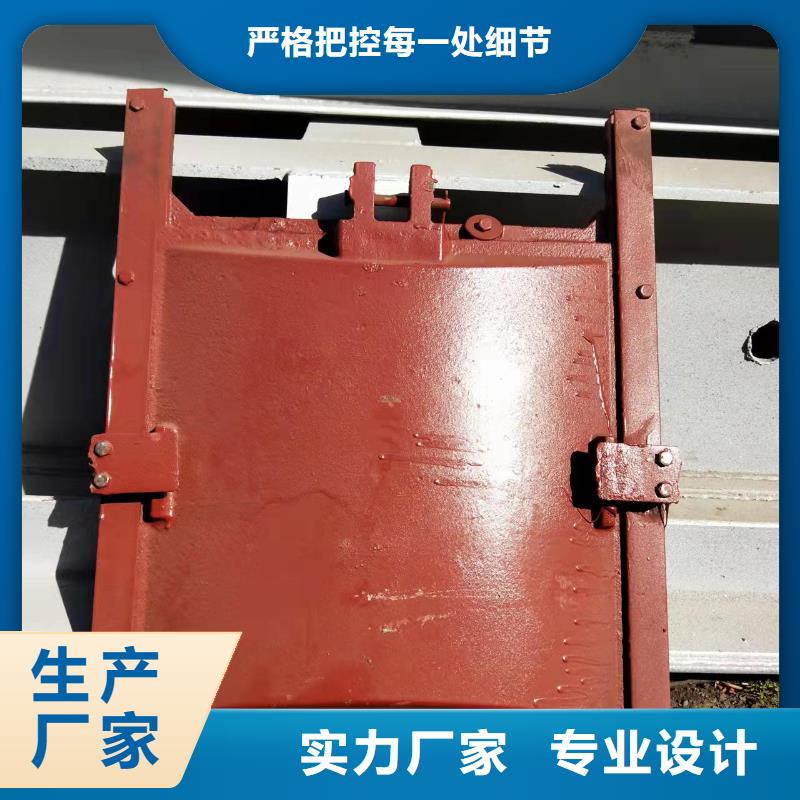 楚雄铸铁闸门不满意可退货