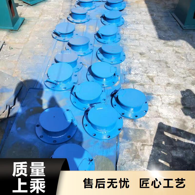 资源采购铸铁闸门必看-经验丰富
