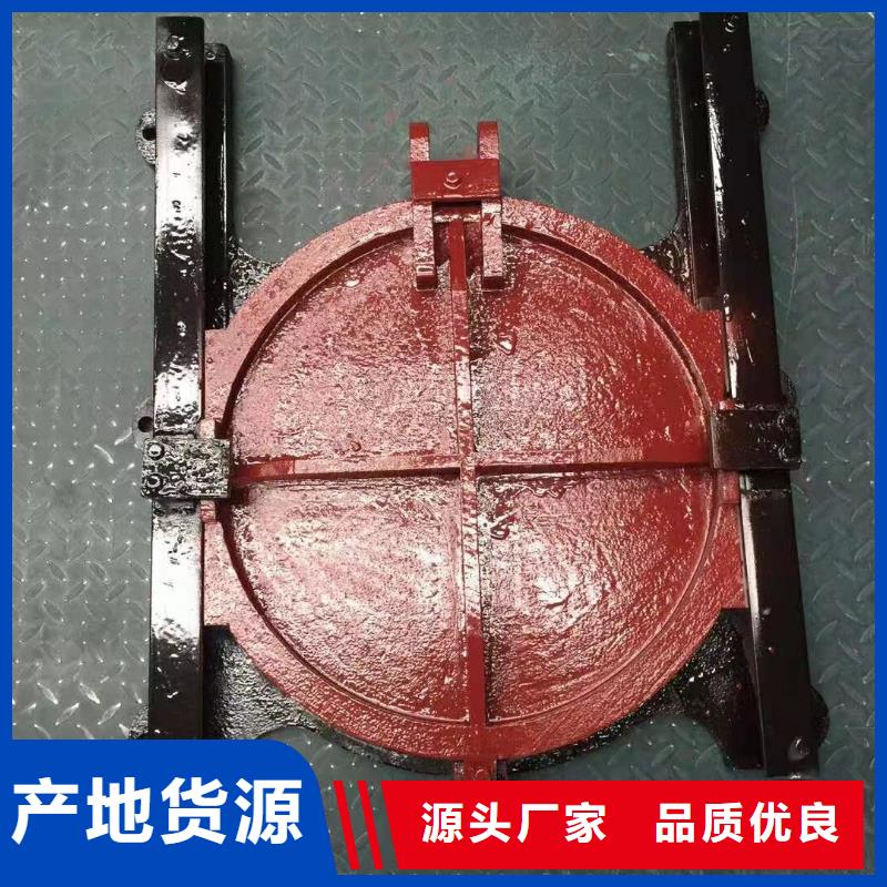 水电站铸铁闸门丽江实体厂家