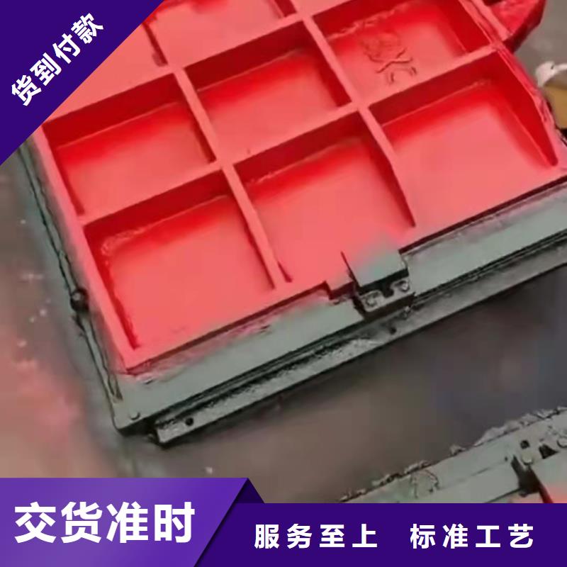 泵站铸铁闸门批发厂家