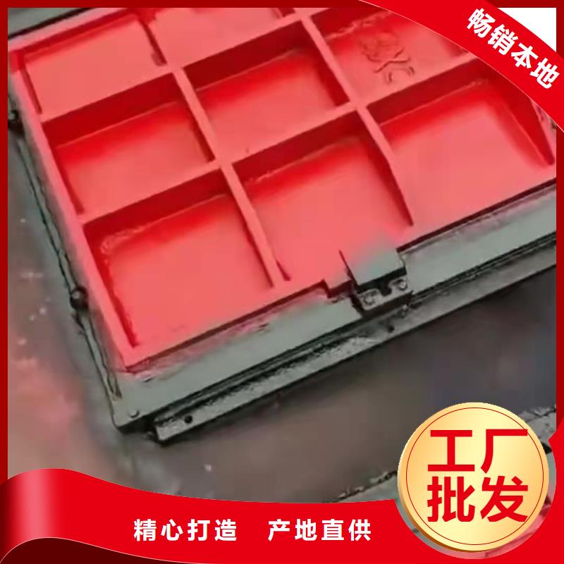 咸宁水库铸铁闸门经验丰富