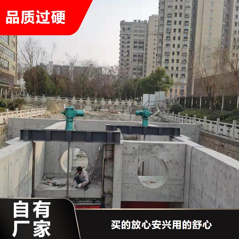 罗江服务周到的铸铁闸门生产厂家