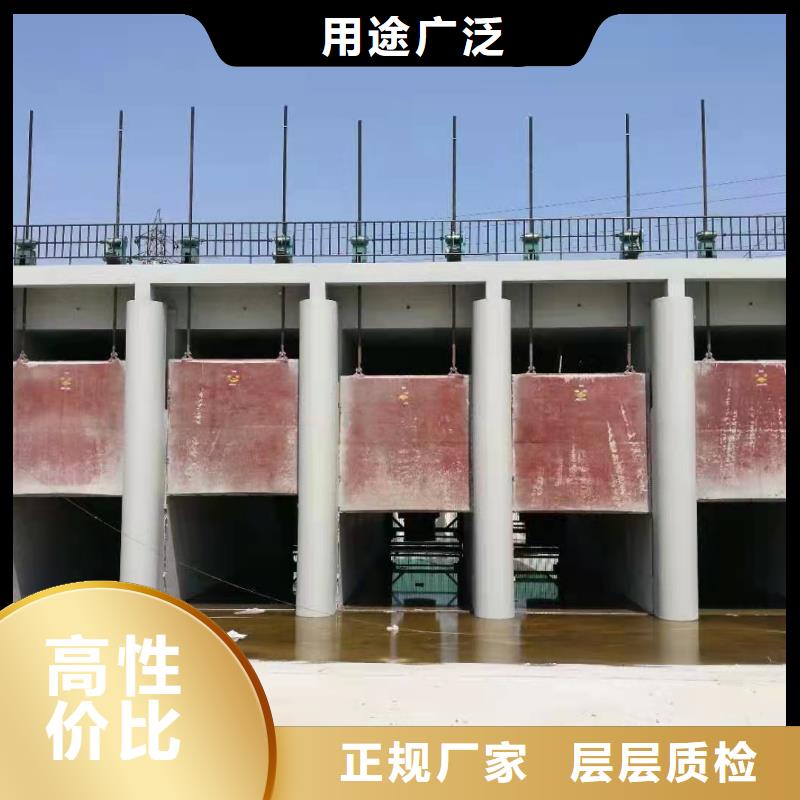 岳阳批发水电站铸铁闸门_优质厂家
