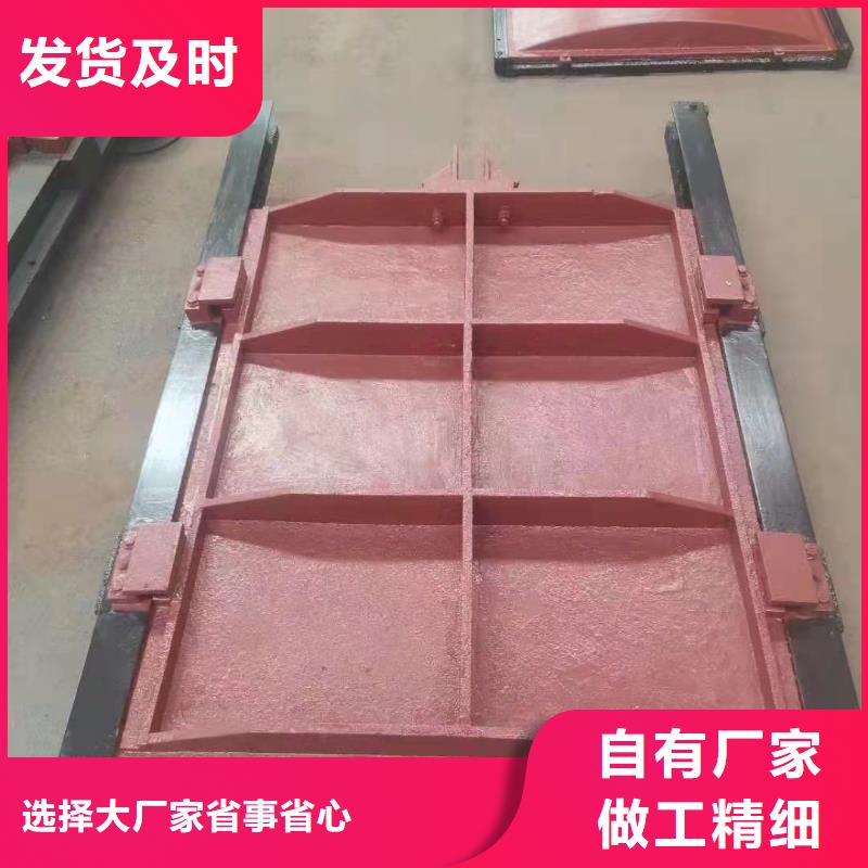 咸宁水库铸铁闸门经验丰富