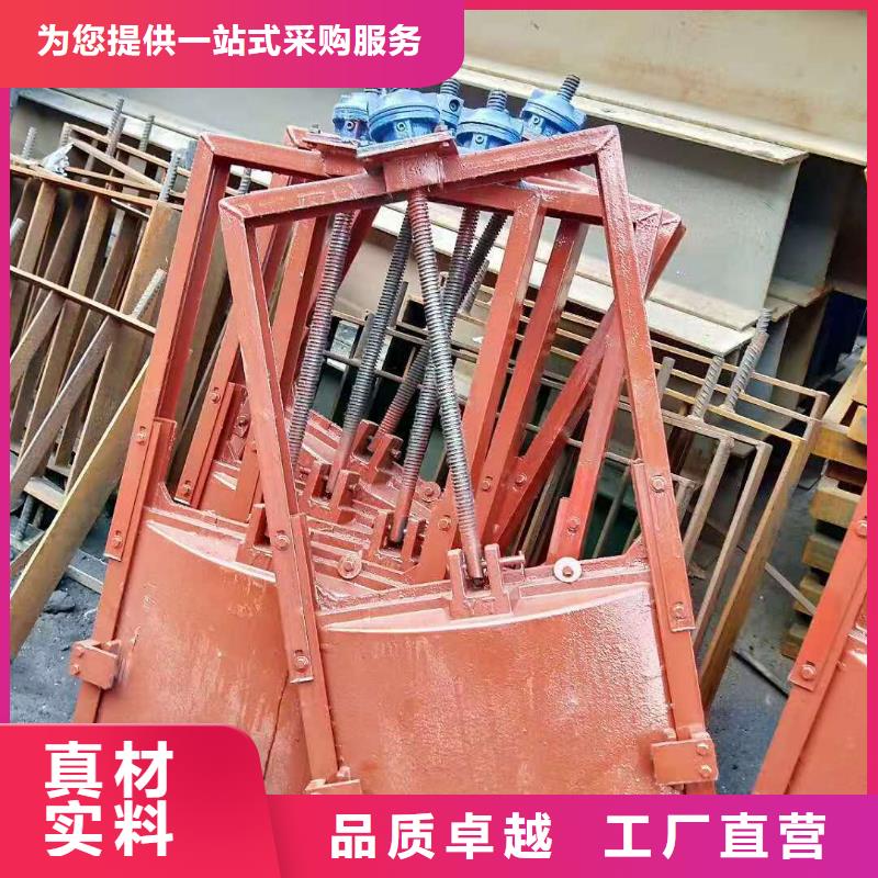 定制机闸一体式铸铁闸门_实力厂家