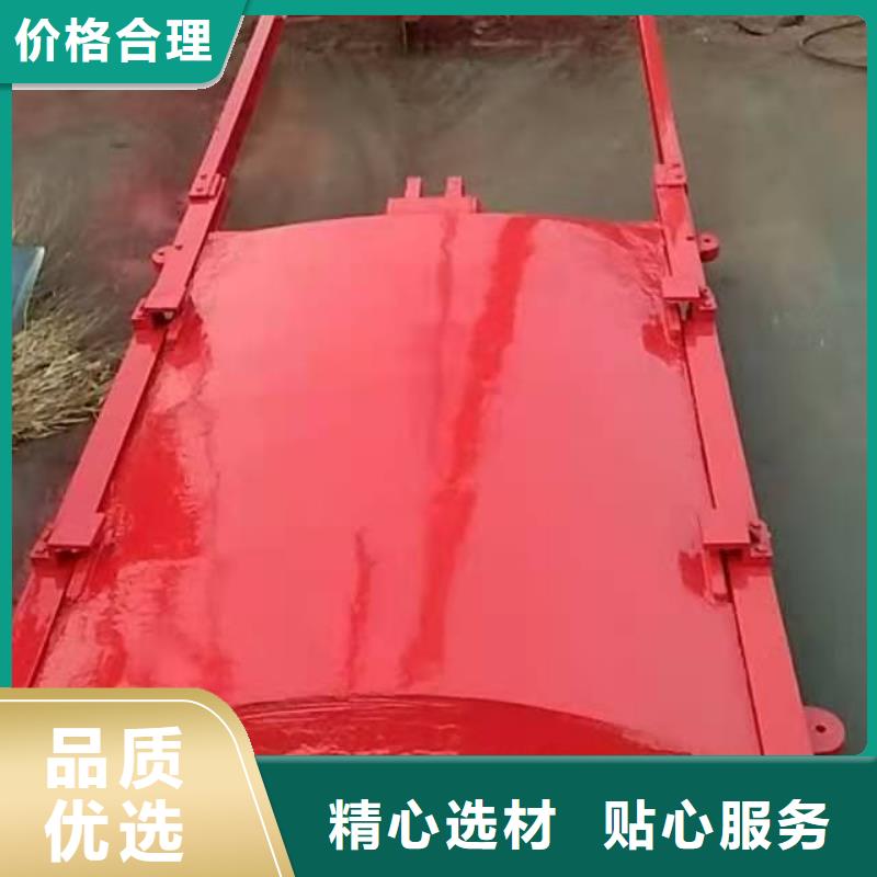 塔河泵站铸铁闸门供应商求
