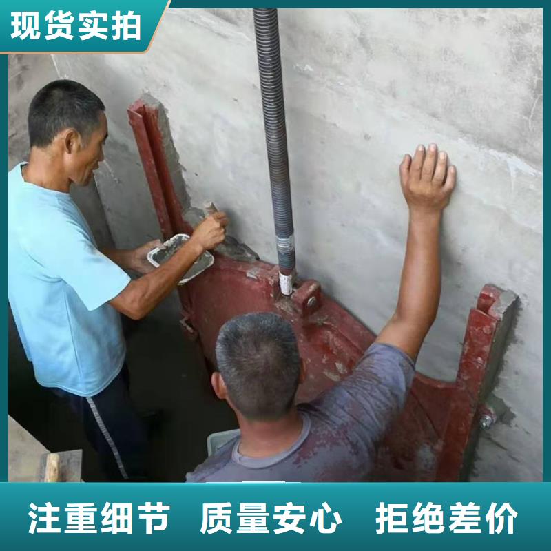 罗江服务周到的铸铁闸门生产厂家