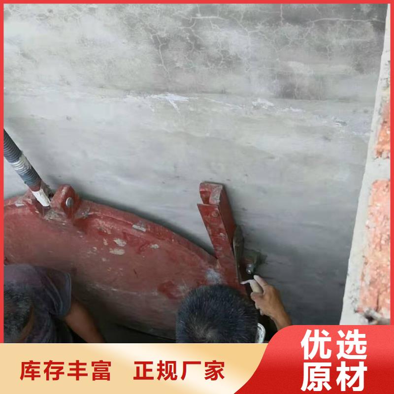 罗江服务周到的铸铁闸门生产厂家