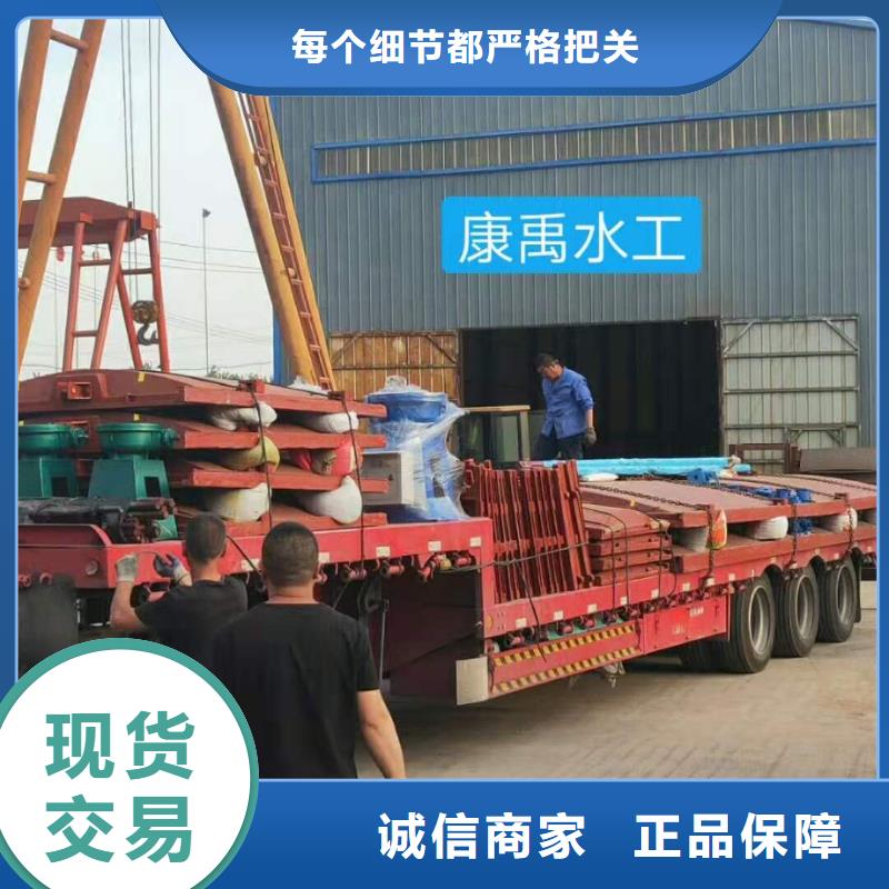 批发水电站铸铁闸门_优质厂家