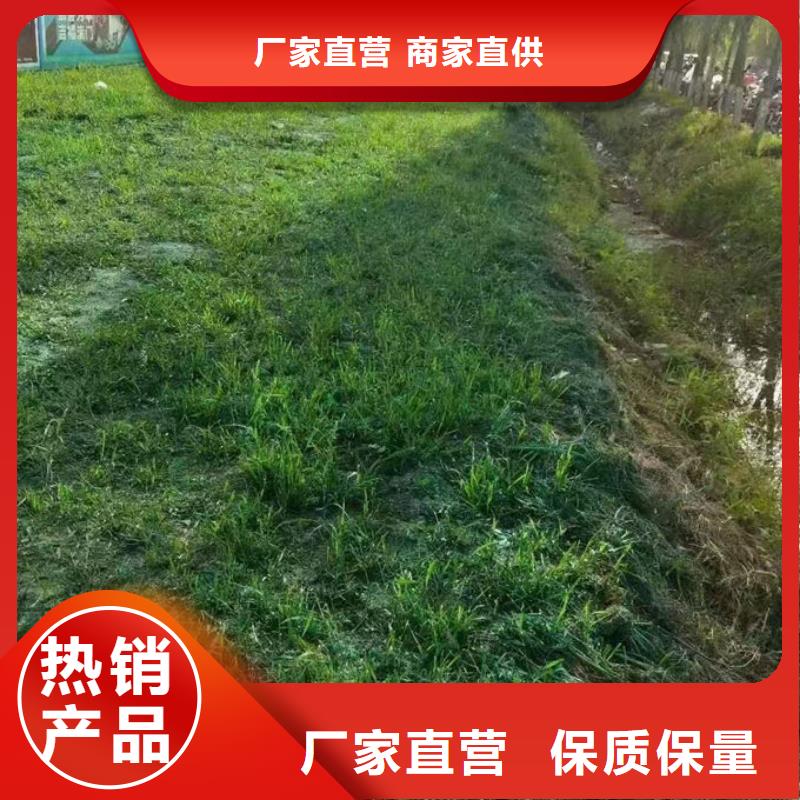 运煤火车结壳抑尘剂厂家直营