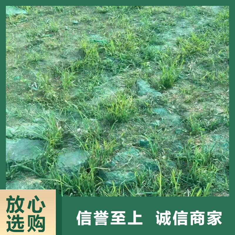 生物酶抑尘剂厂家直营