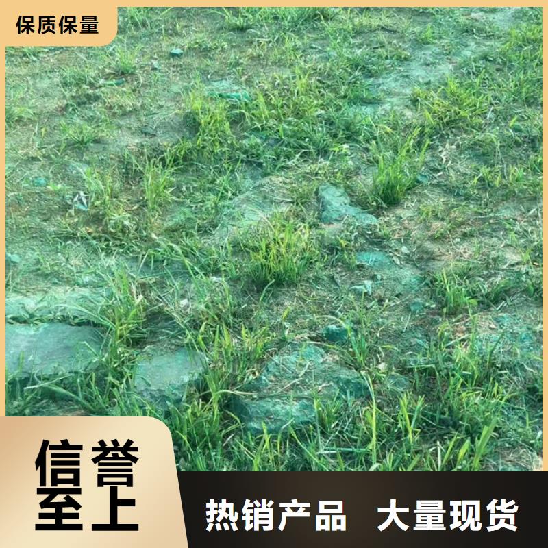 环保抑尘剂色素量大从优