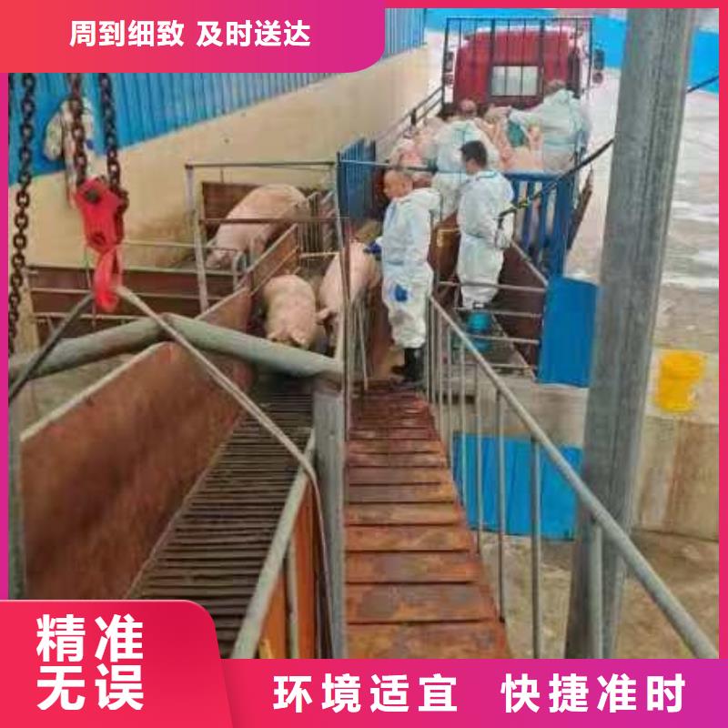 宿迁到猪只运输专用车