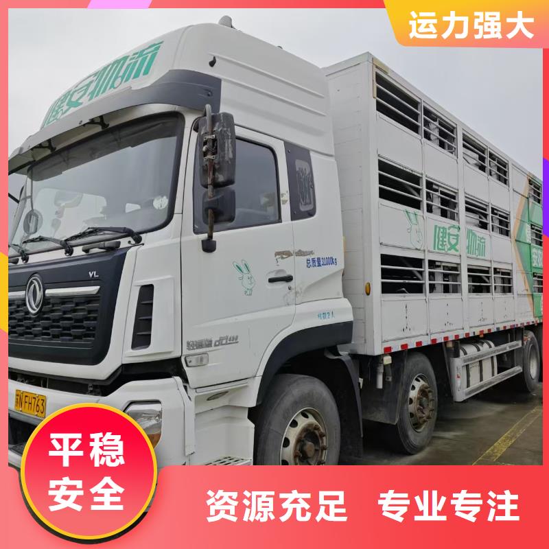 沭阳县到高栏车肥猪运输快捷