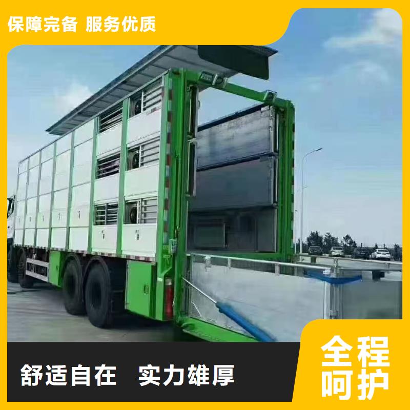 宿迁到猪只运输专用车