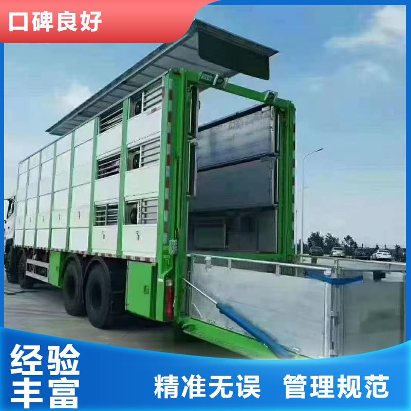 商丘到仔猪空调车运输人才济济