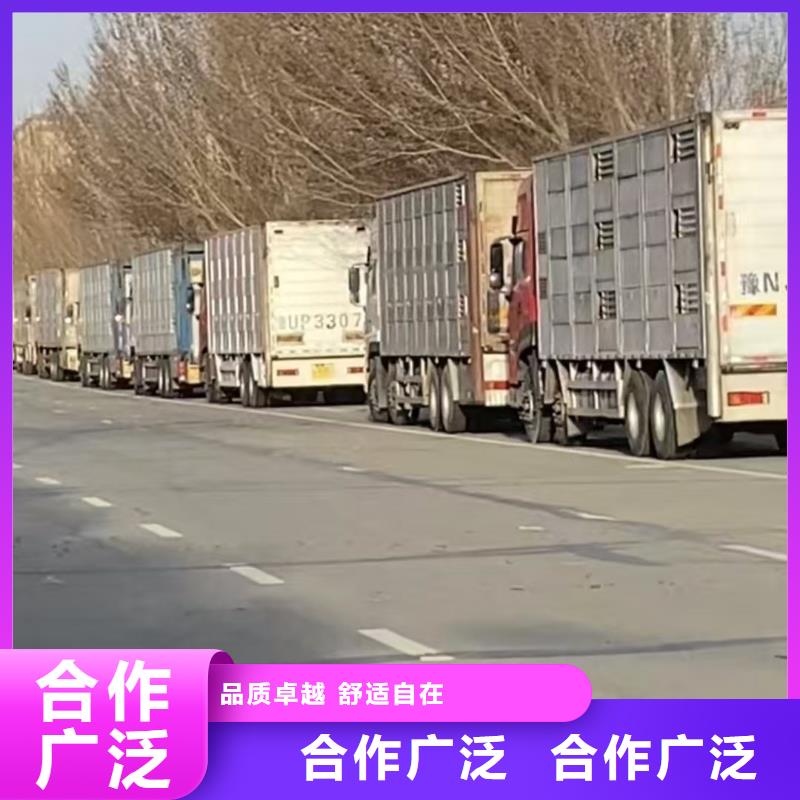 商丘到仔猪空调车运输人才济济