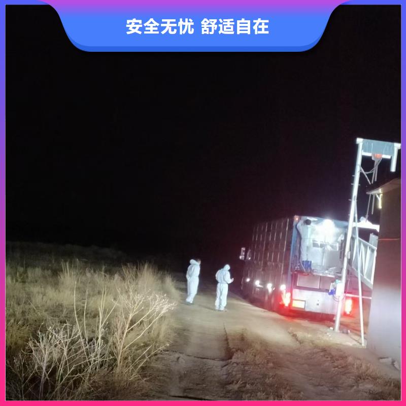 嘉兴到种猪恒温车运输品质卓越