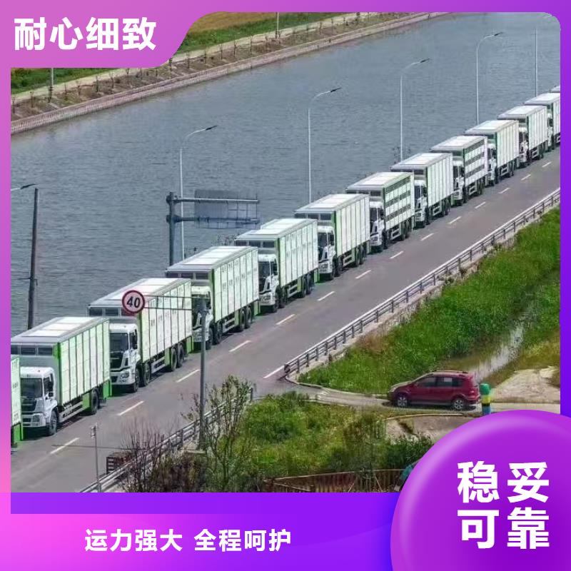 嘉兴到种猪恒温车运输品质卓越