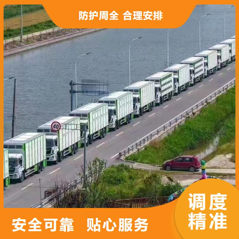 宿迁市到恒温车运输资质齐全