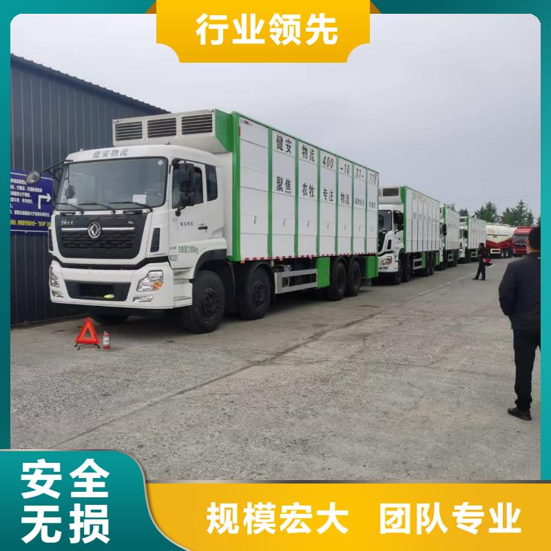 宿迁到牛运输专用车上门取货